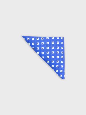 Pañuelo de Bolsillo Estampado para Hombre 30108