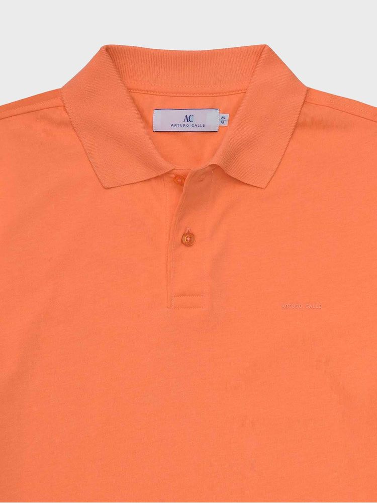 Polo Jersey Unicolor Regular Fit 69614