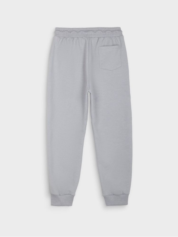 Jogger Jurassic Park para Niño 14996