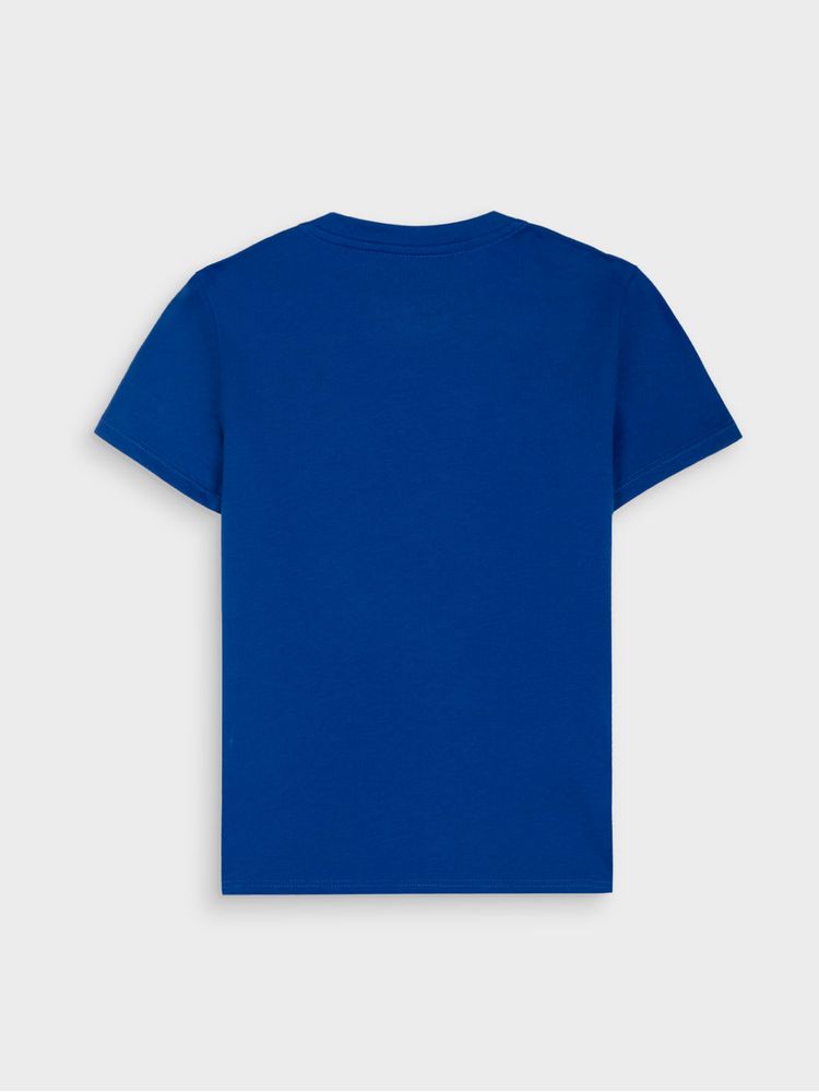 Camiseta con Estampado Localizado para Niño 14731