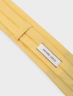 HOMBRE-CORBATA-10145118-AMARILLO-140_3.jpg
